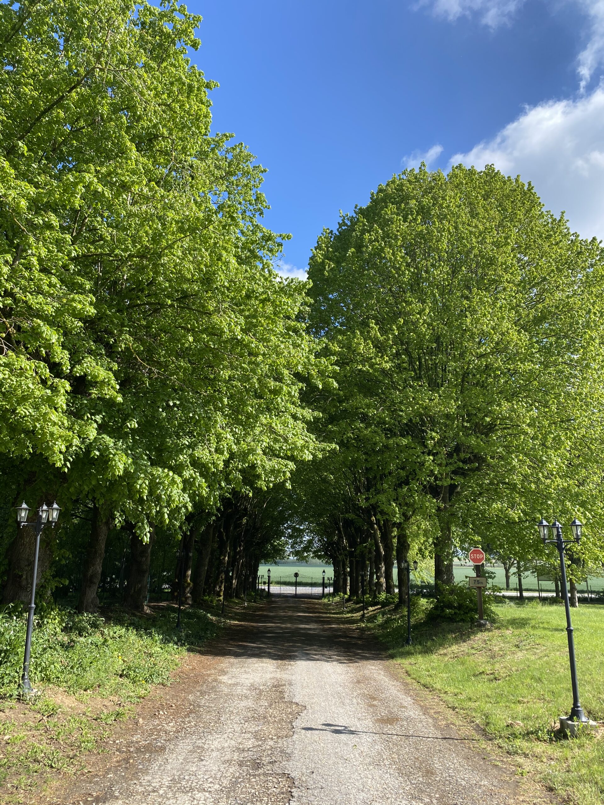 Allée du domaine de la ferme de mont